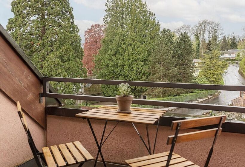 Номер Economy, Seehotel Kastanienbaum