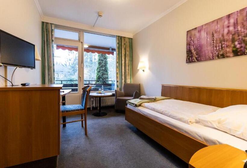 Одноместный Номер Basic, Vitalhotel Ascona