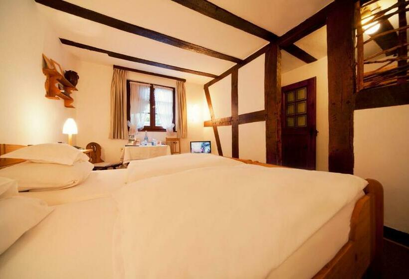 Номер Стандарт Индивидуальный, Romantik Hotel Alte Vogtei