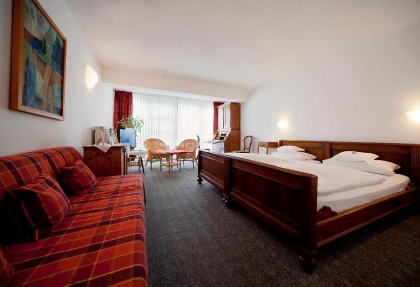 Номер Deluxe Одноместный, Romantik Hotel Alte Vogtei