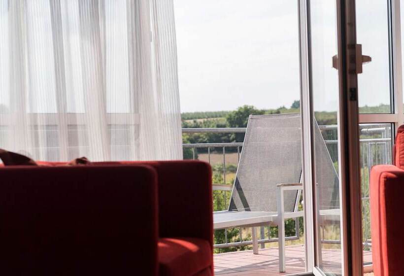 带1个卧室的豪华公寓, Atrium Hotel Mainz