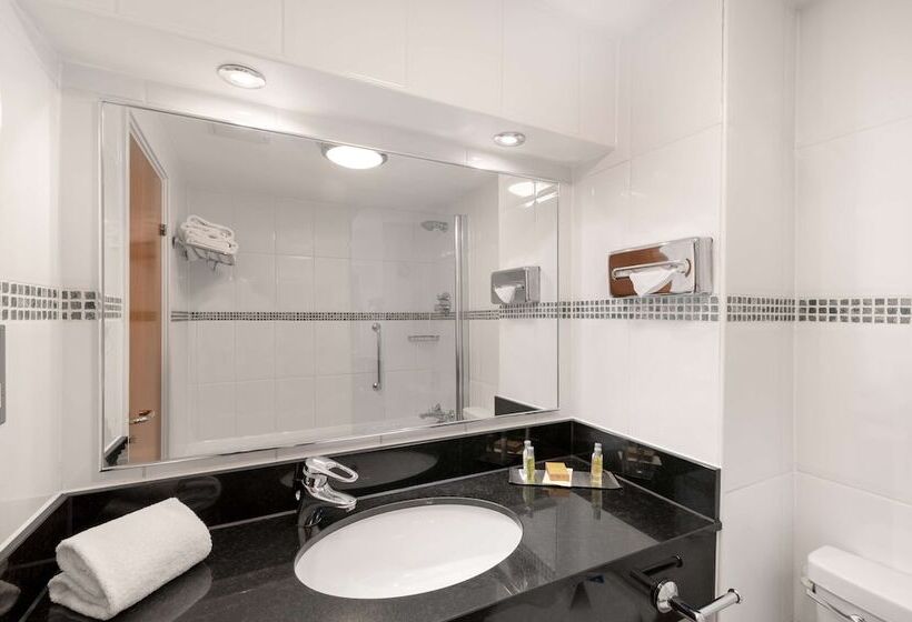 Семейный Номер, Hilton Birmingham Metropole