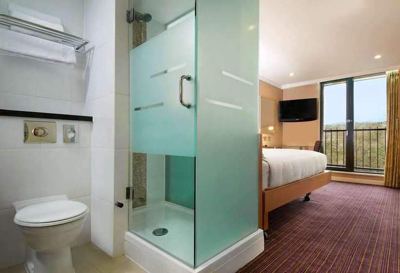 Номер Deluxe Одноместный, Hilton Birmingham Metropole