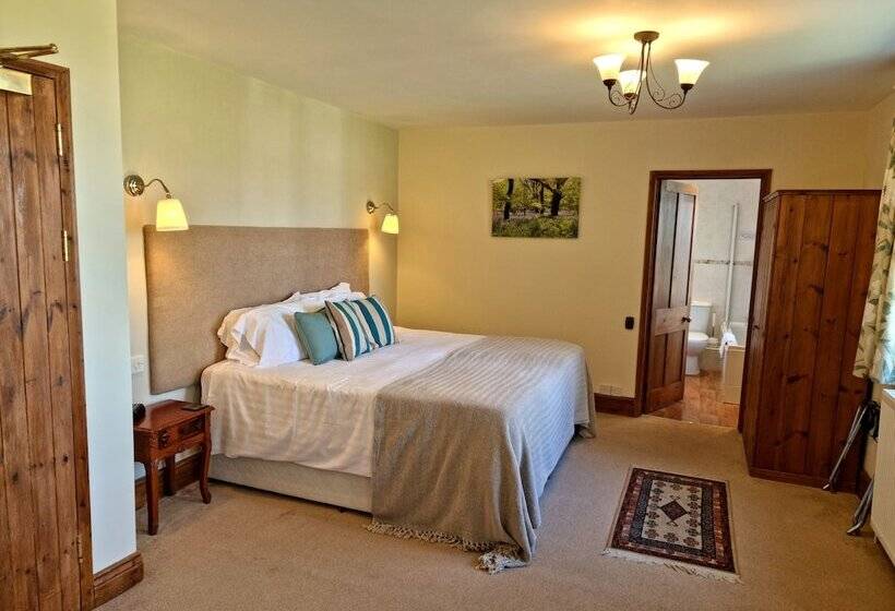 Номер Стандарт, Collaven Manor