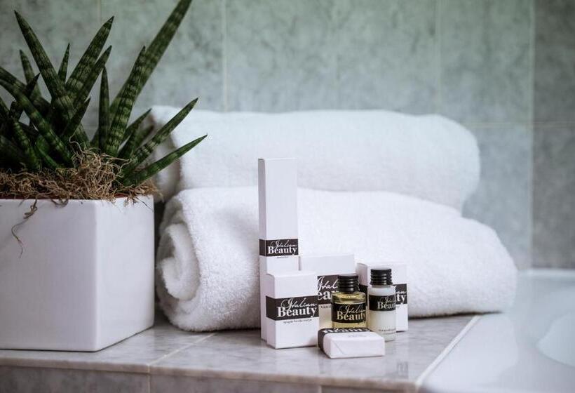 Номер Deluxe, Bonotto Hotel Palladio