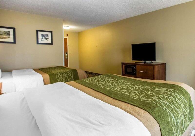 Классический Номер, Bonotto Hotel Palladio