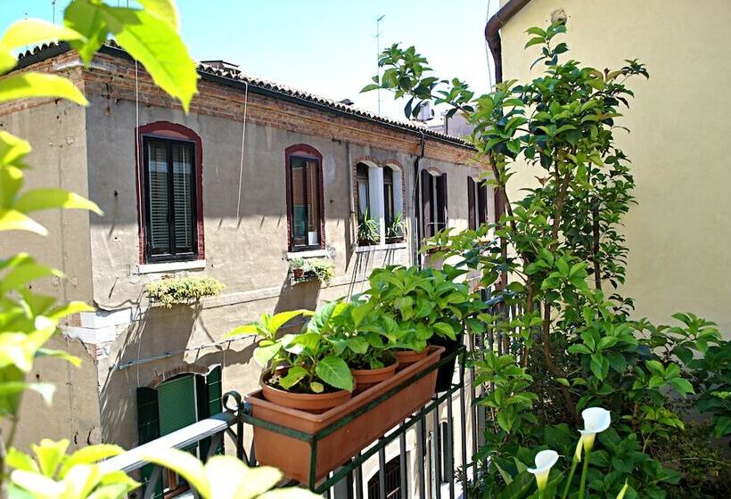 اتاق سوپریور, Carlton Capri