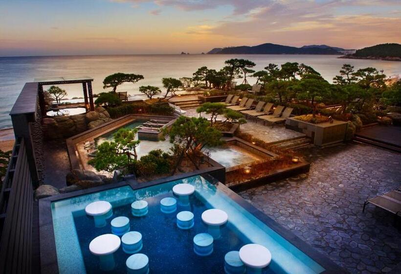 주니어 스위트 바다 전망, Paradise Hotel Busan