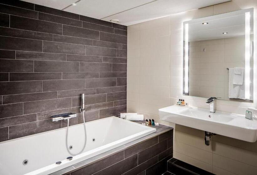 行政套房, Holiday Inn Eindhoven Centre, An Ihg