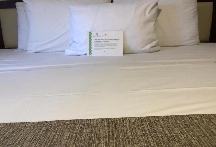 스탠다드 룸, Costa Del Sol Wyndham Cusco