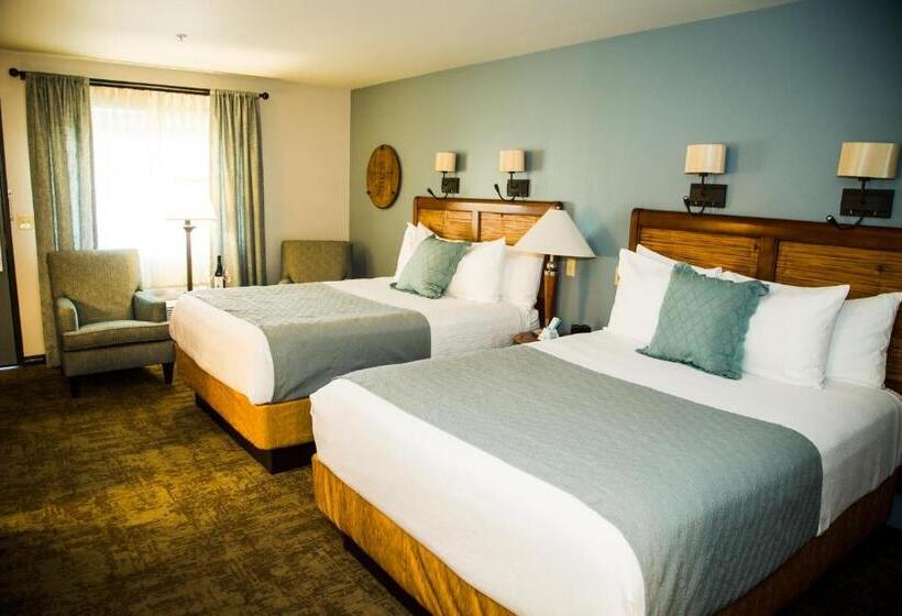Номер Стандарт, Adelaide Inn