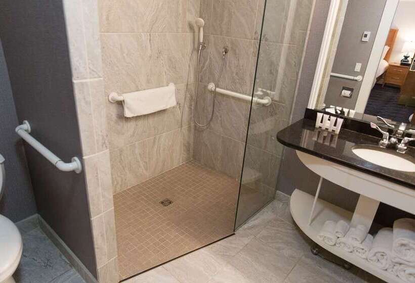 Habitació Deluxe, Hilton Arlington