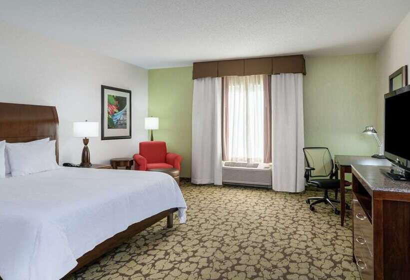 Habitació Deluxe, Hilton Arlington