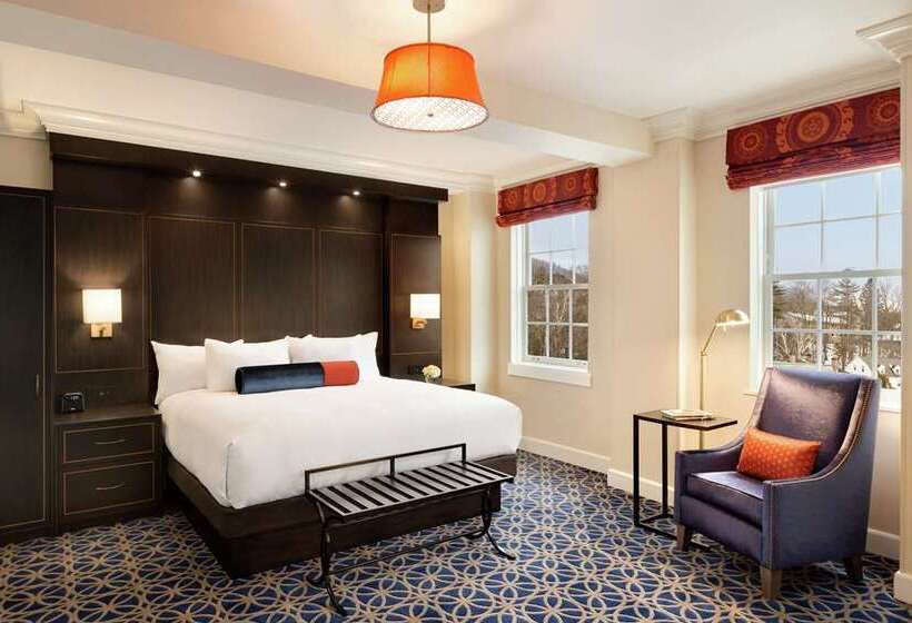 Habitació Deluxe, Hilton Arlington