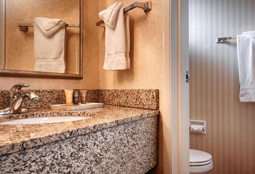 스탠다드 룸, Best Western Garden Inn
