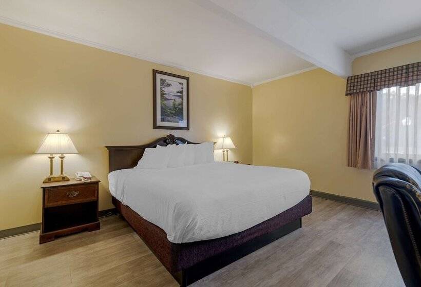 סוויטה, Best Western Of Lake George