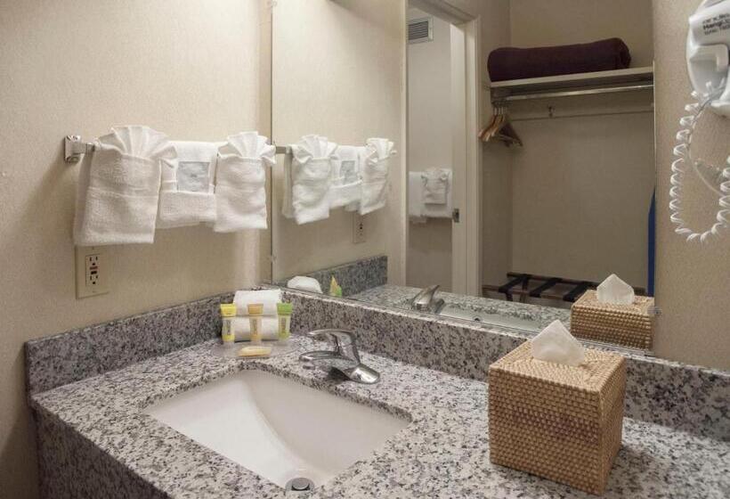 标准间, Inn At The Convention Center