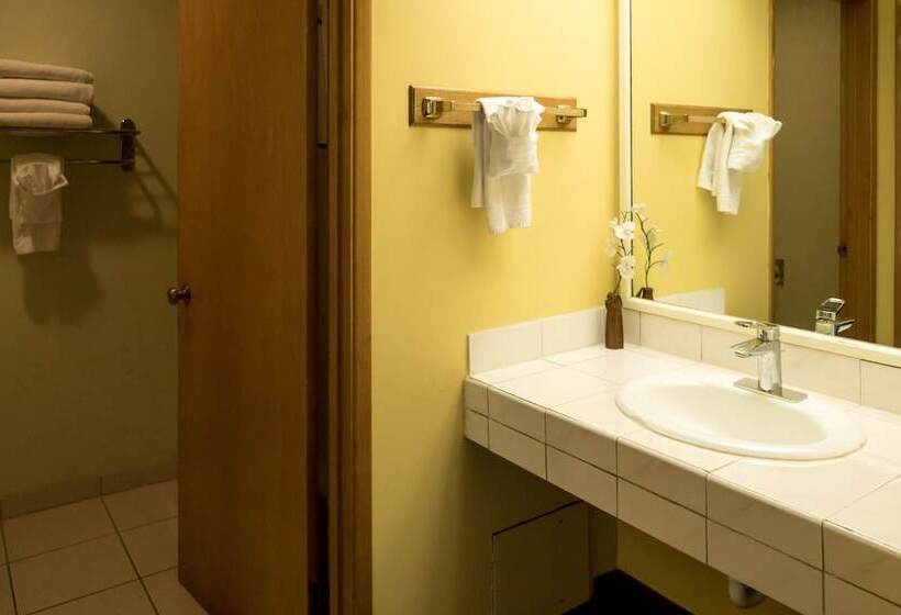 Номер Стандарт 2 Двуспальные Кровати, Western Holiday Lodge