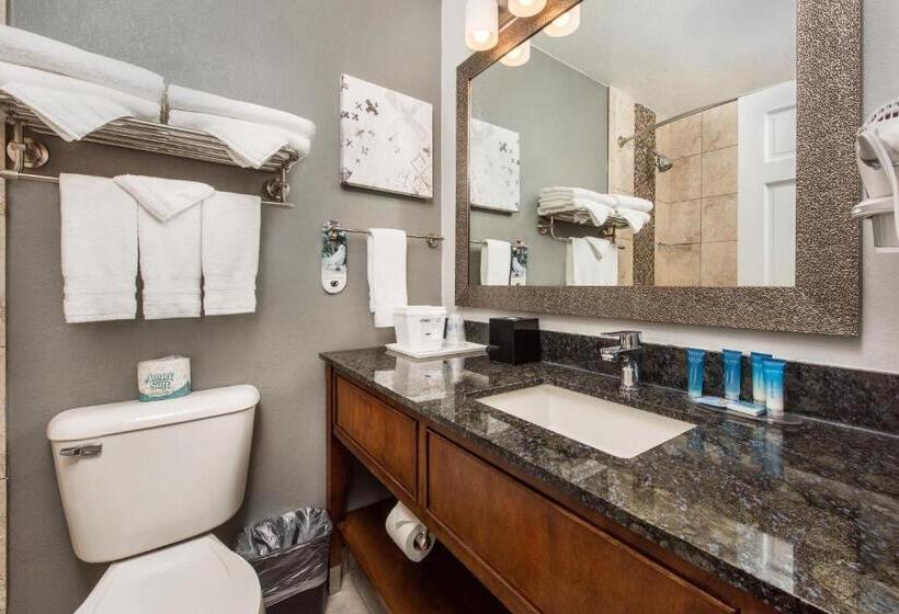 Стандартный Номер Кровать Кинг, Best Western Plus Milwaukee West