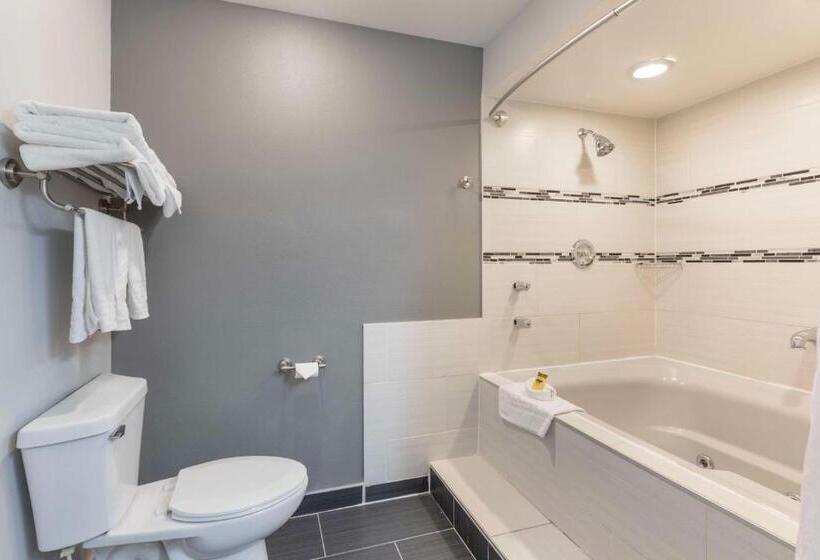 Стандартный Номер Кровать Кинг, Best Western Plus Milwaukee West