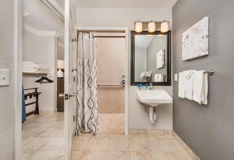 Номер Стандарт Адаптированный для Инвалидов, Best Western Plus Milwaukee West