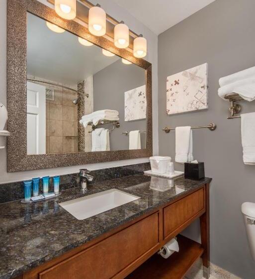 Номер Стандарт Адаптированный для Инвалидов, Best Western Plus Milwaukee West