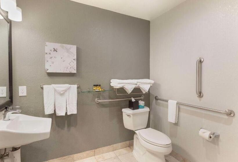 Номер Стандарт Адаптированный для Инвалидов, Best Western Plus Milwaukee West
