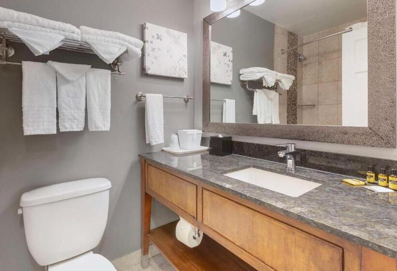 Номер Стандарт, Best Western Plus Milwaukee West
