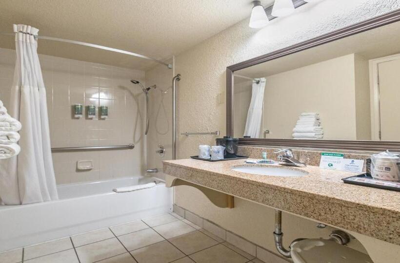 Номер Стандарт Кровать Кинг Адаптированный для Инвалидов, Best Western Roseville Inn
