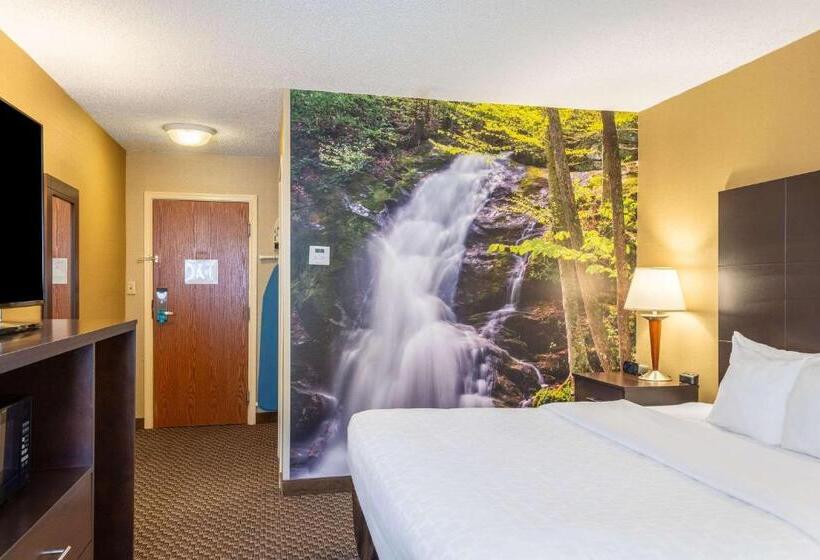 带大床的标准间, Clarion Pointe Harrisonburg