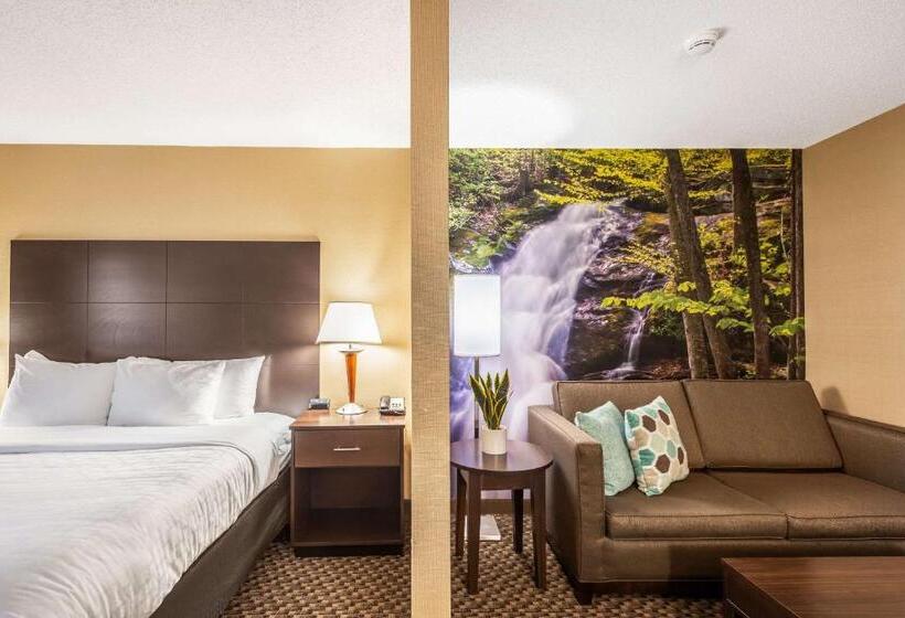 带大床的套房, Clarion Pointe Harrisonburg