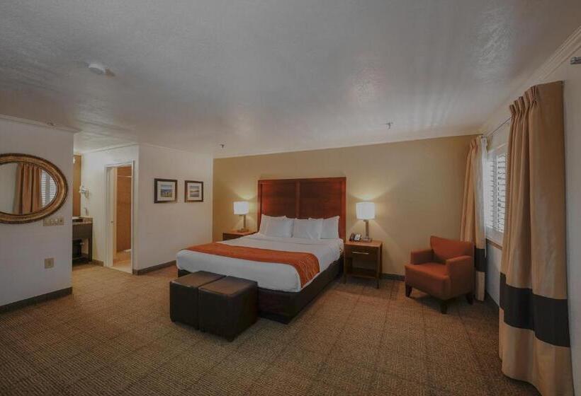 キングサイズベッドのスタンダードルーム, Comfort Inn