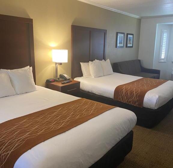 身障者適用スタンダードルーム, Comfort Inn