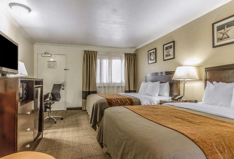 身障者適用スタンダードルーム, Comfort Inn