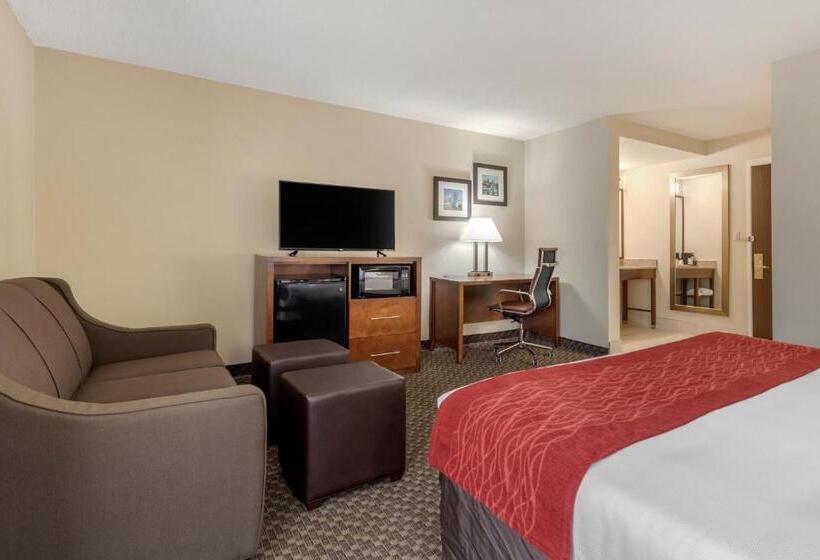 스위트 킹사이즈 침대, Comfort Inn South