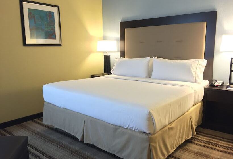 スタンダードルーム, Holiday Inn Express Chicago Nw   Arlington Heights, An Ihg