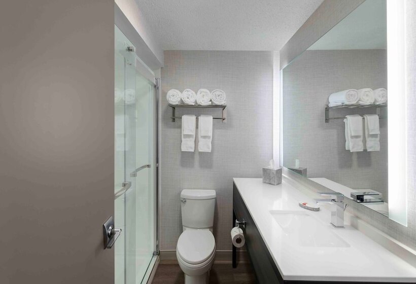 스위트 킹사이즈 침대, Holiday Inn Express South Burlington   Downtown, An Ihg