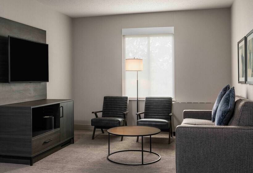 스위트 킹사이즈 침대, Holiday Inn Express South Burlington   Downtown, An Ihg