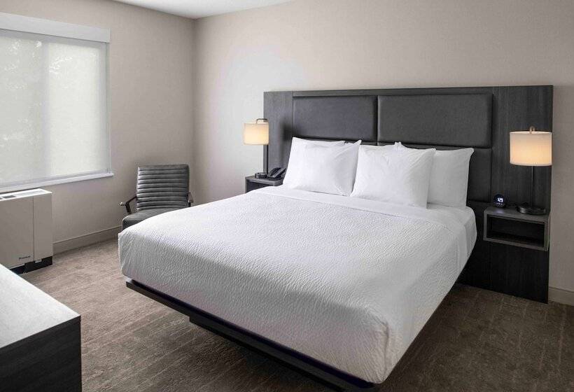 스위트 킹사이즈 침대, Holiday Inn Express South Burlington   Downtown, An Ihg