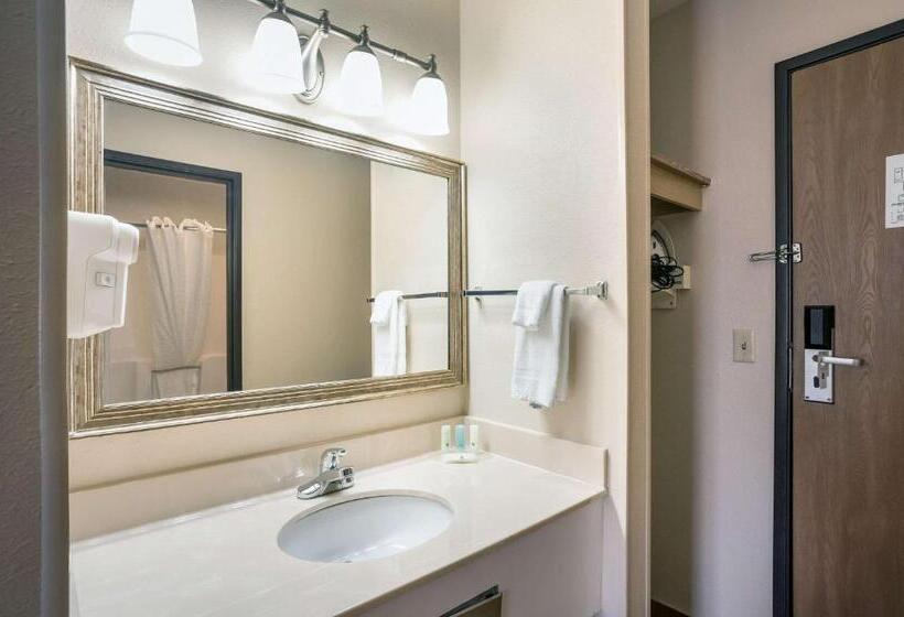 Standardrum, Quality Inn Cedar Rapids South