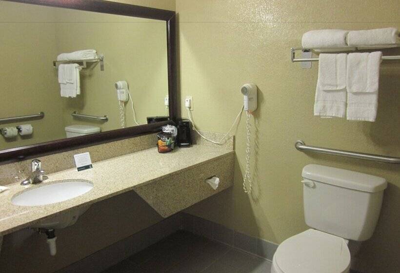 장애인을 위한 스탠다드 룸, Quality Inn