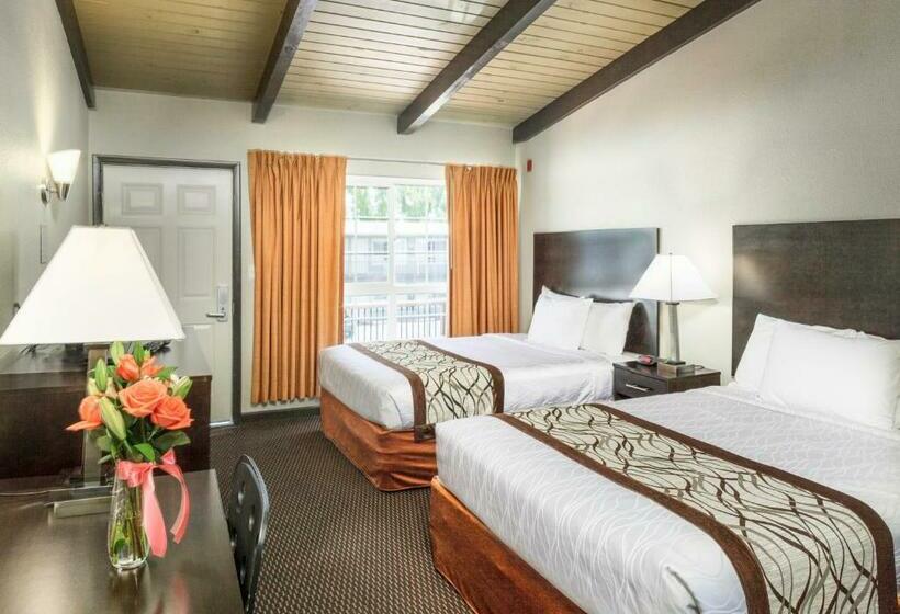 스탠다드 룸, Thunderbird Lodge
