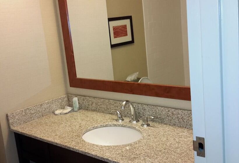 스탠다드 룸 더블 침대 2개, Comfort Inn The Pointe