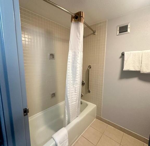 장애인을 위한 킹사이즈 침대 스탠다드 룸, Super 8 By Wyndham Dallas Love Field Airport