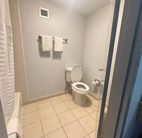 스탠다드 룸 더블 침대 2개, Super 8 By Wyndham Dallas Love Field Airport