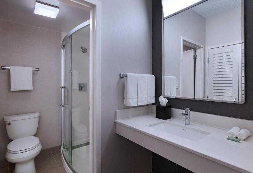 Стандартный Номер Кровать Кинг, Courtyard By Marriott Dallas Richardson At Spring Valley