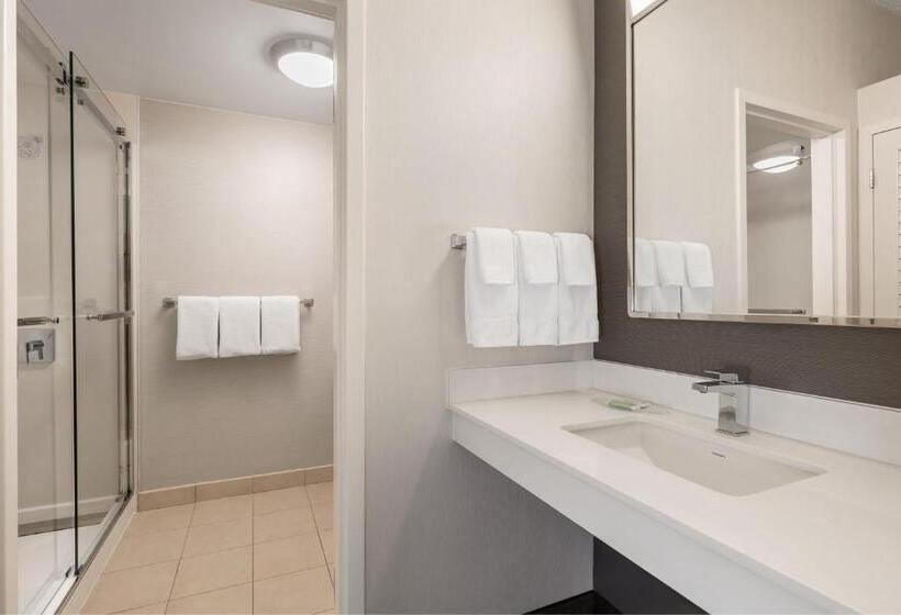 스탠다드 룸 킹사이즈 침대, Courtyard By Marriott Minneapolis St. Paul Airport