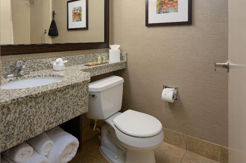 Стандартный Номер Кровать Кинг, Doubletree By Hilton Raleigh Midtown, Nc