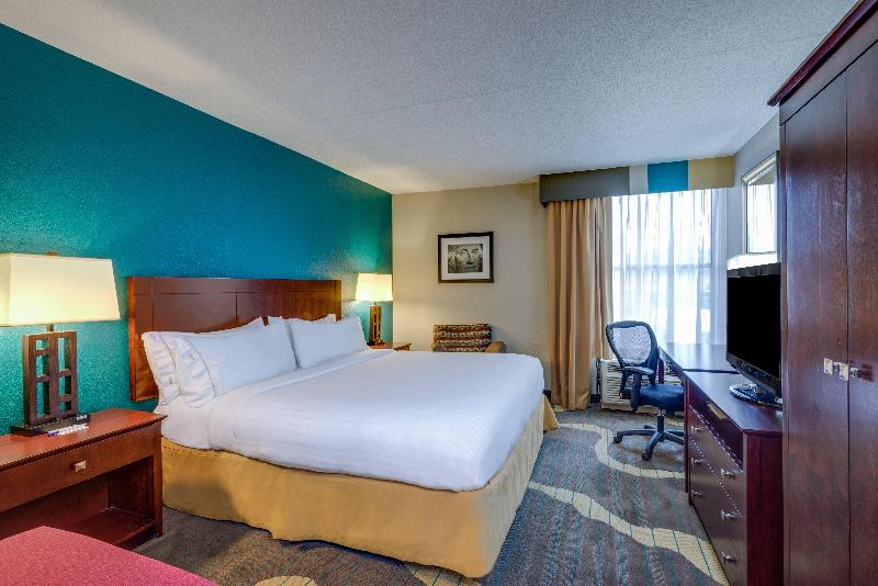 스탠다드 룸 킹사이즈 침대, Holiday Inn Express Washington Dc East  Andrews Afb, An Ihg