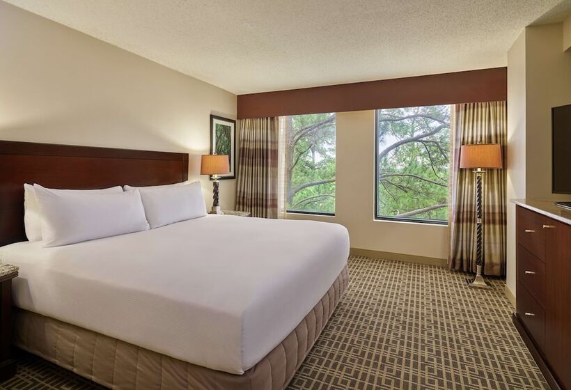 סוויטה, Doubletree By Hilton Houston Intercontinental Airport